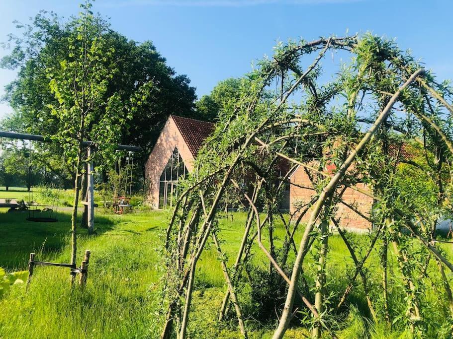 Schuurloft Hof Ten Bogaerde Met Biozwembad, Veldzicht & Uilennest Ябеке Екстериор снимка